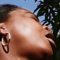 Мая Меджик Голи