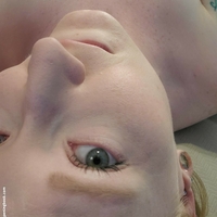 Пени Пикан Голи